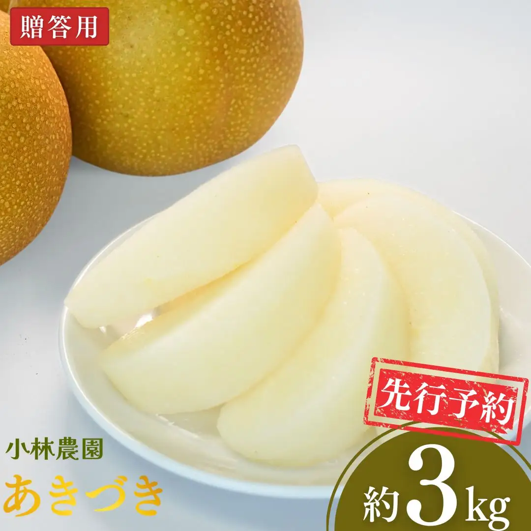 【令和8年産先行予約】三条市梨「あきづき」 約3kg 010S748