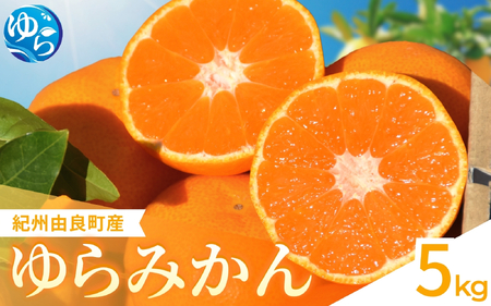 ゆらみかん 5kg ※2026年11月下旬頃から12月上旬頃に順次発送予定 ※沖縄・離島配送不可【kzmn004-r-5】