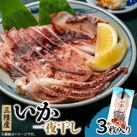 イカ一夜干し3枚入×1p【配送不可地域：離島】【1614056】
