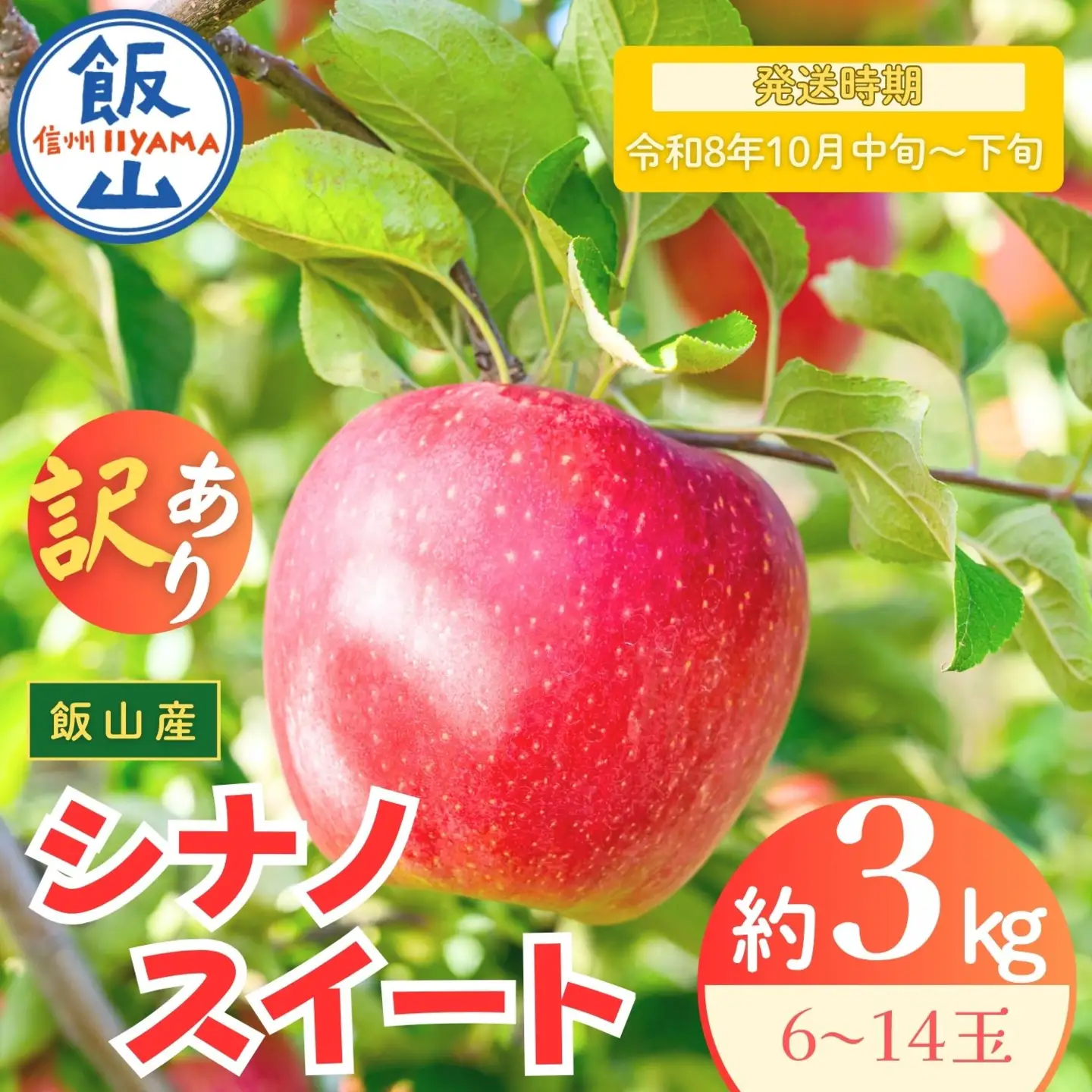 【訳あり】りんご シナノスイート 約3kg（6～14玉）2026年10月中旬より発送 先行予約 | リンゴ At-020