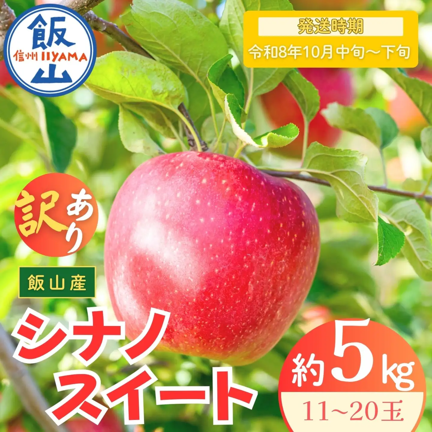 【訳あり】りんご シナノスイート 約5kg（11～20玉）2026年10月中旬より発送 先行予約 | リンゴ At-021