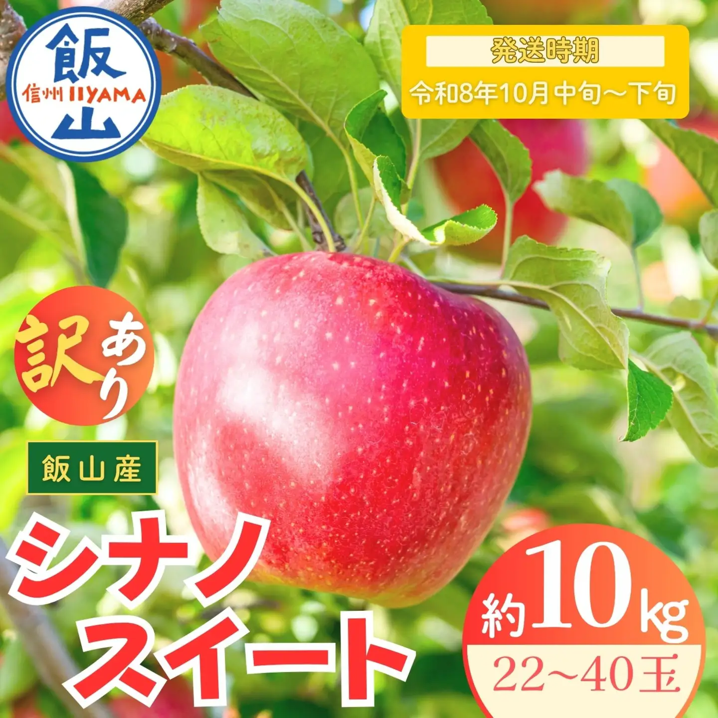 【訳あり】りんご シナノスイート 約10kg（22～40玉）2026年10月中旬より発送先行予約 At-022