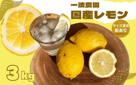 一法農園の 国産レモン サイズ混合 3kg(15個前後) 訳あり ご家庭用【12月中旬～3月下旬までに順次発送】 / れもん レモン 檸檬 蜜柑 フルーツ 果物 【mkz019】