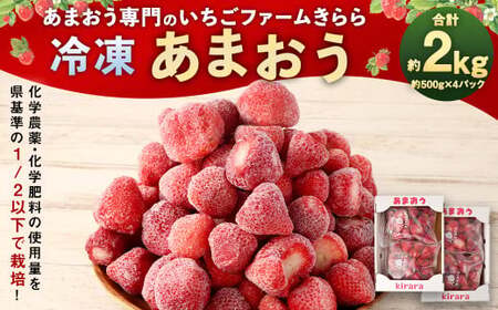 「いちごファームきらら」の 冷凍 あまおう 2kg ／ 苺 いちご イチゴ 果物 フルーツ デザート おやつ お取り寄せ 冷凍