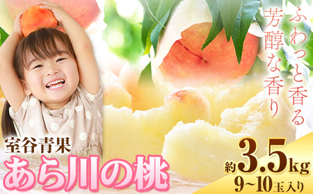 【予約受付】あら川の桃 約3.5kg 室谷青果 《2026年6月下旬-7月中旬頃出荷》 和歌山県 紀の川市