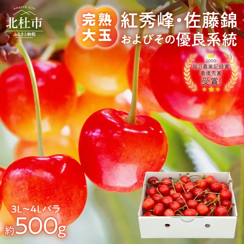 【2026年発送 先行予約】完熟大玉・さくらんぼ（3L～4Lバラ 約500g）佐藤錦 紅秀峰 サクランボ 岩原果樹園 山梨県 北杜市 [h039]
