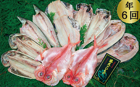 藤文の「びっくり規格外セット定期便」（年６回） あじ 鯵 真ほっけ 赤魚 金目鯛 きんめ かます カマス 鯖 さば 干物 ひもの 規格外 定期便 冷凍 西伊豆 伊豆 ギフト お歳暮 お中元[0823236]