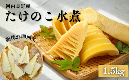 国産 たけのこ 水煮 1.5kg【2026年5月末終了】
