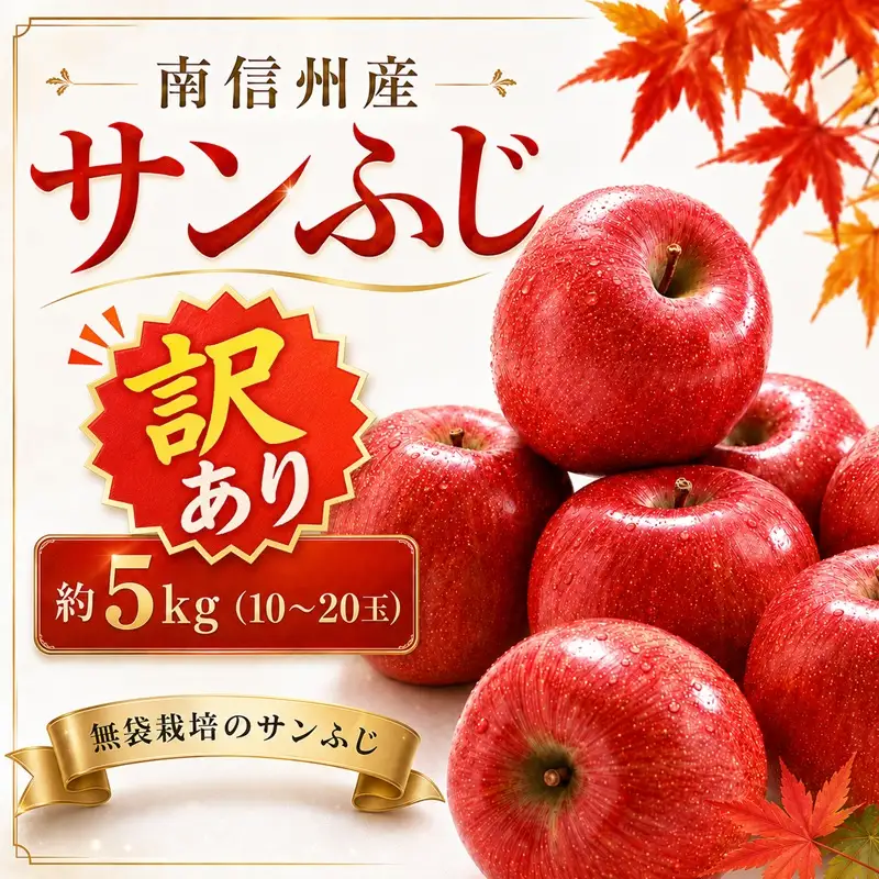 【南信州産】 サンふじ 訳あり 約5kg (10～20玉)【2026年11月下旬～順次発送】 ＪＡみなみ信州ＤＭセンター飯田市