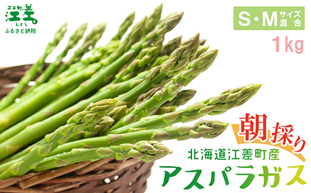 ＼夏アスパラ 先行予約受付中／北海道江差町産 アスパラガス【S～Mサイズ】 1kg　40～50本　朝採り　農家直送　新鮮　鮮度保持　北海道　旬野菜　グリーンアスパラ　アスパラ　ギフト　贈答