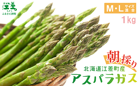 ＼夏アスパラ 先行予約受付中／北海道江差町産 アスパラガス【M～Lサイズ】 1kg　30～40本　朝採り　農家直送　新鮮　鮮度保持　北海道　旬野菜　グリーンアスパラ　アスパラ　ギフト　贈答