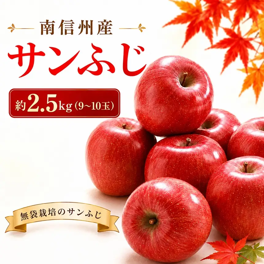 【南信州産】 サンふじ 約2.5kg (9～10玉) 【2026年11月下旬～順次発送】 ＪＡみなみ信州ＤＭセンター飯田市
