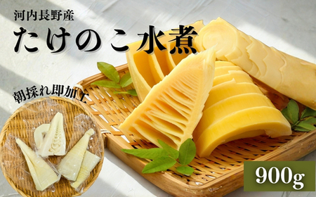 国産 たけのこ 水煮 900g タケノコ 竹の子 長期保存 真空パック 15005-40001076-g