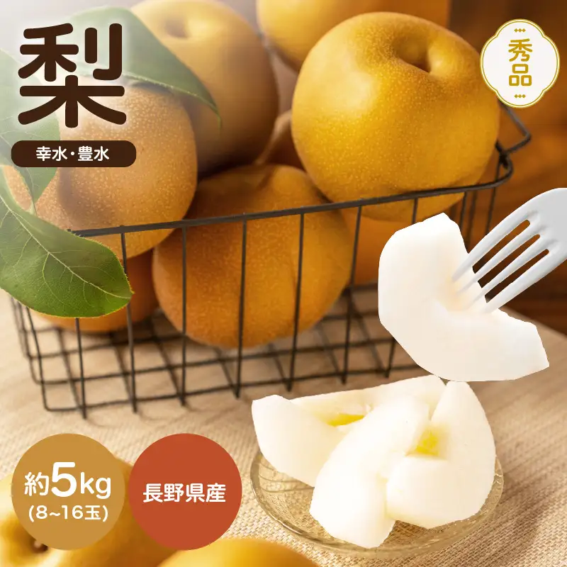 南信州産 幸水 または 豊水 秀品 約5kg 8～16玉 ＜2026年9月上旬～順次発送＞ ＪＡみなみ信州ＤＭセンター飯田市