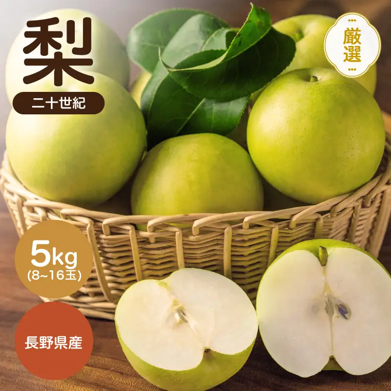 二十世紀 秀品 約5kg 8～16玉 ＜2026年9月上旬～順次発送＞ ＪＡみなみ信州ＤＭセンター飯田市