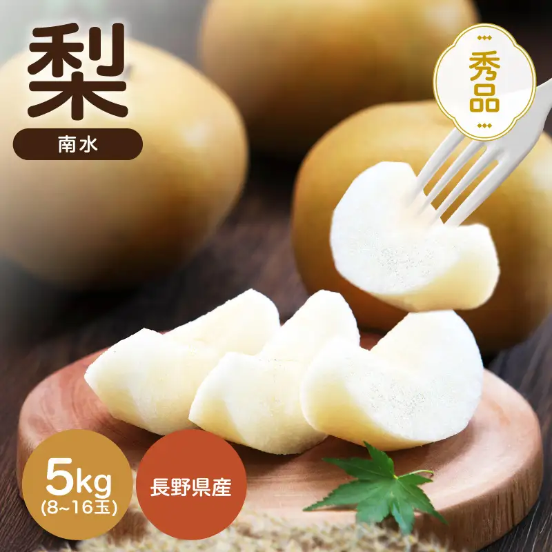 南信州産 南水 梨 秀品 約5kg 8～16玉 ＜2026年9月中旬～順次発送＞ ＪＡみなみ信州ＤＭセンター飯田市