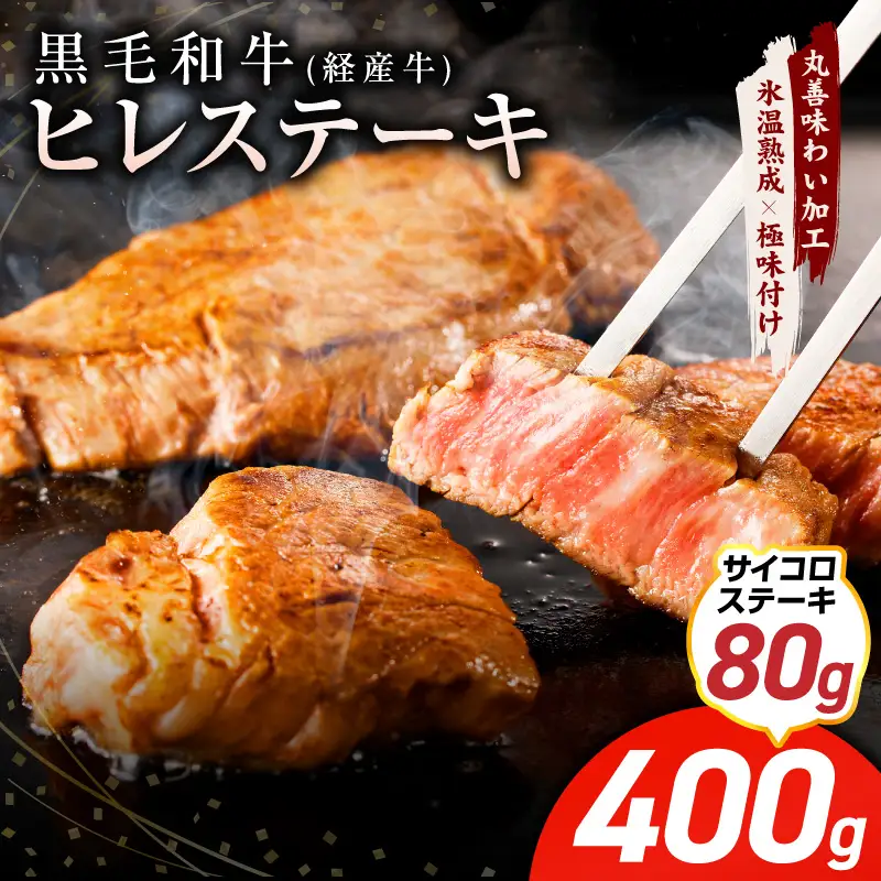 【特別規格】黒毛和牛 ヒレステーキ ＋ サイコロステーキ 合計 480g