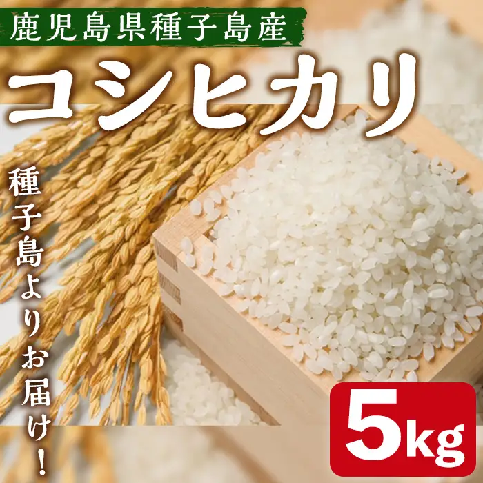 n359 期間限定 コシヒカリ 5kg 国産 鹿児島県産 種子島 こしひかり 米 お米 白米 【なかたね農産】