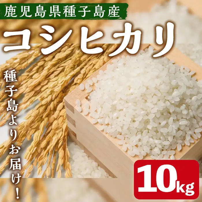 n360 期間限定 コシヒカリ 10kg 国産 鹿児島県産 種子島 こしひかり 米 お米 白米 【なかたね農産】