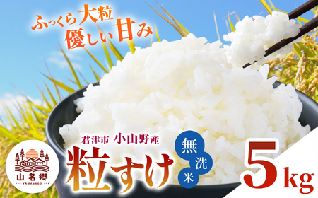 無洗米 令和7年産 君津市小山野産 粒すけ 5kg | あかかげ農園