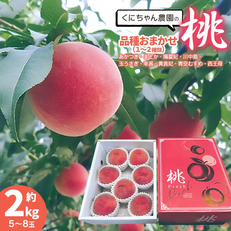 【令和8年産先行予約】 鶴岡市産 桃 (品種おまかせ) 　約2kg　(5～8玉)　くにちゃん農園　K-836