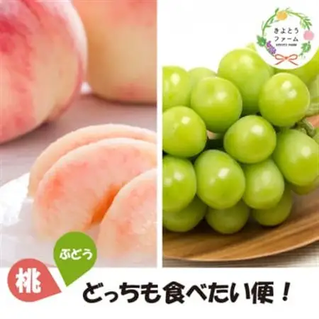 【発送月固定定期便】桃と葡萄(シャインマスカット)どっちも食べたい便!【お試し便】(岡山県産)全2回【配送不可地域：離島・北海道・沖縄県】【4067481】