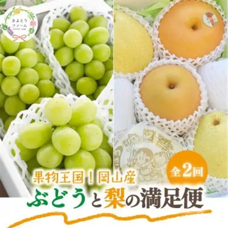 【発送月固定定期便】人気のシャインマスカットと希少品種の梨、フルーツ満足便!(岡山県産)全2回【配送不可地域：離島】【4067489】