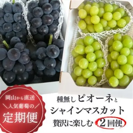 【発送月固定定期便】ピオーネとシャインマスカットの2回便! 各2.0kg～ (岡山県産)全2回【配送不可地域：離島】【4067502】