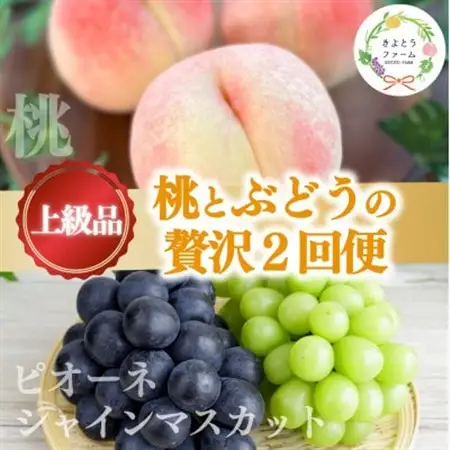 【発送月固定定期便】桃(5-7玉)とピオーネ＆シャインマスカット(3-5房)の定期便(岡山産)全2回【配送不可地域：離島・北海道・沖縄県】【4067689】