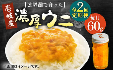 【全2回定期便】壱岐産 濃厚 ウニ60g《壱岐市》【合同会社塚元】ムラサキウニ [JDR029]