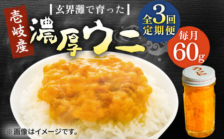 【全3回定期便】壱岐産 濃厚 ウニ60g《壱岐市》【合同会社塚元】ムラサキウニ [JDR030]
