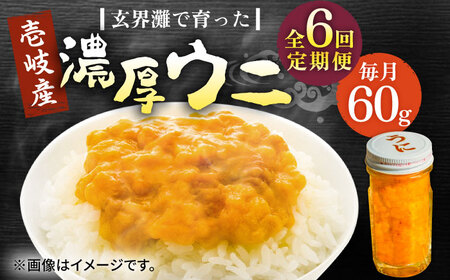 【全6回定期便】壱岐産 濃厚 ウニ60g《壱岐市》【合同会社塚元】ムラサキウニ [JDR031]