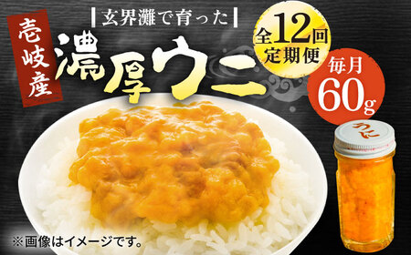 【全12回定期便】壱岐産 濃厚 ウニ60g《壱岐市》【合同会社塚元】ムラサキウニ [JDR032]