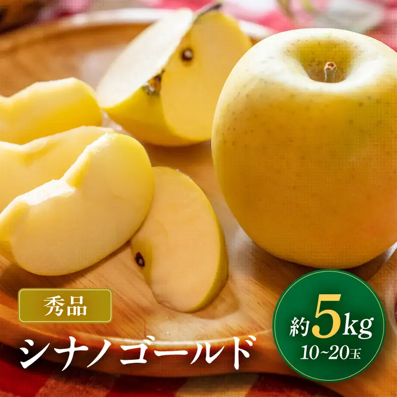 南信州産 シナノゴールド 約5kg 10～20玉 秀品 ＜2026年10月中旬～順次発送＞ ＪＡみなみ信州ＤＭセンター飯田市