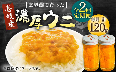 【全2回定期便】壱岐産 濃厚 ウニ 60g ×2本《壱岐市》【合同会社塚元】ムラサキウニ [JDR033]
