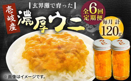 【全6回定期便】壱岐産 濃厚 ウニ 60g ×2本《壱岐市》【合同会社塚元】ムラサキウニ [JDR035]