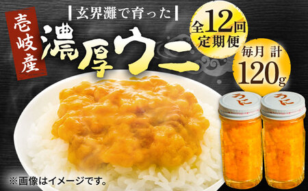 【全12回定期便】壱岐産 濃厚 ウニ 60g ×2本《壱岐市》【合同会社塚元】ムラサキウニ [JDR036]