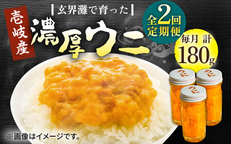 【全2回定期便】壱岐産 濃厚 ウニ 60g ×3本《壱岐市》【合同会社塚元】ムラサキウニ [JDR037]