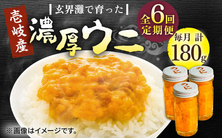 【全6回定期便】壱岐産 濃厚 ウニ 60g ×3本《壱岐市》【合同会社塚元】ムラサキウニ [JDR039]