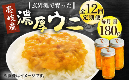 【全12回定期便】壱岐産 濃厚 ウニ 60g ×3本《壱岐市》【合同会社塚元】ムラサキウニ [JDR040]