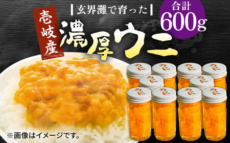 【お中元】壱岐産 濃厚 ウニ 60g ×10本《壱岐市》【合同会社塚元】ムラサキウニ [JDR042]