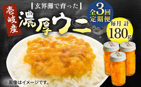 【全3回定期便】壱岐産 濃厚 ウニ 60g ×3本《壱岐市》【合同会社塚元】ムラサキウニ [JDR038]