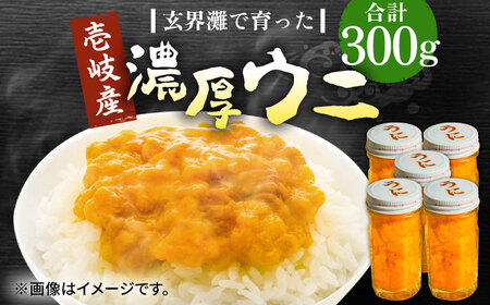 【お中元】壱岐産 濃厚 ウニ 60g ×5本《壱岐市》【合同会社塚元】ムラサキウニ [JDR041]