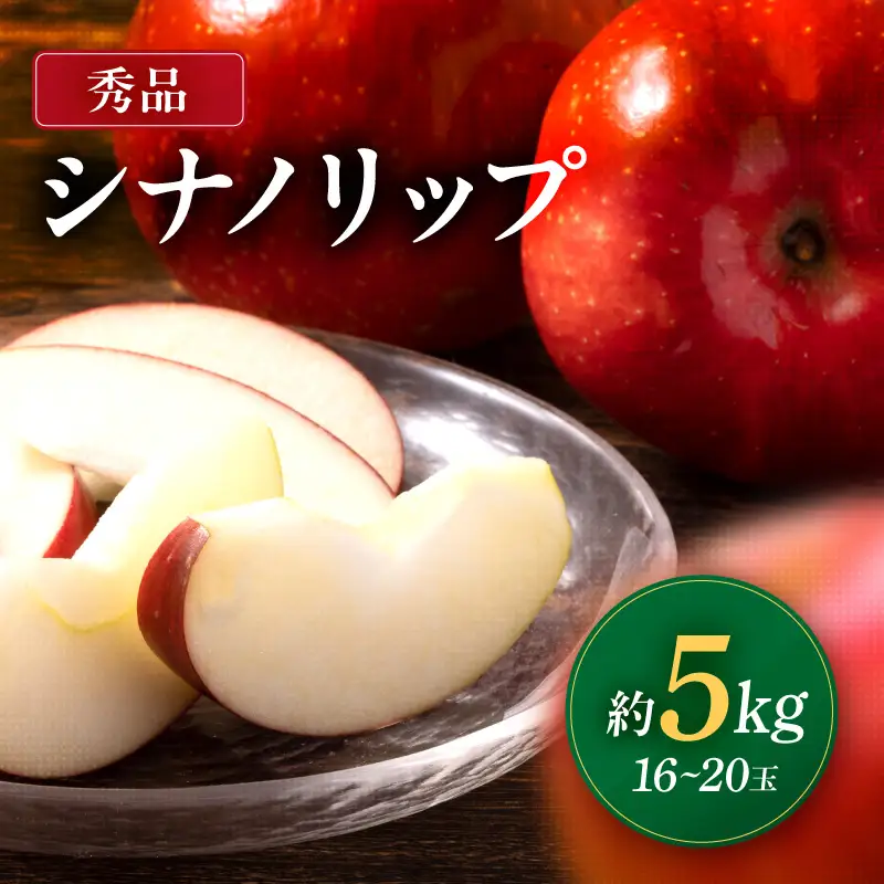 南信州産 シナノリップ 秀品 約5kg 16～20玉 ＜2026年8月中旬～順次発送＞ ＪＡみなみ信州ＤＭセンター飯田市
