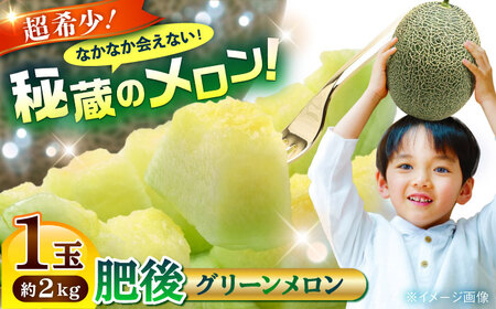 【2026年発送分 先行予約】【数量限定】肥後グリーンメロン 1玉 計約2kg メロン[AYAC053]