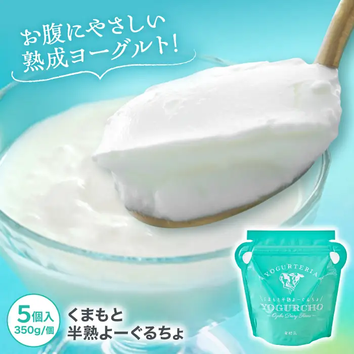 くまもと半熟よーぐるちょ 350g×5個 オオヤブデイリーファーム ヨーグルト 濃厚ヨーグルト AYAE004