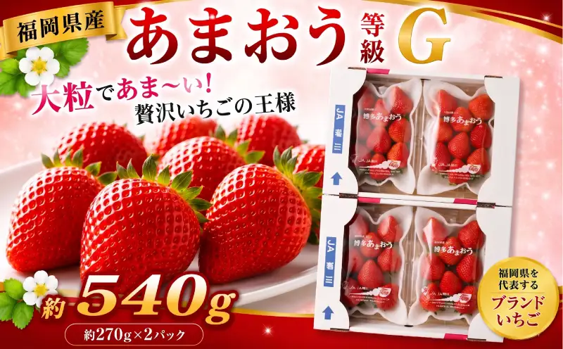 【先行予約】【2027年2月から3月発送】あまおう 540g / いちご