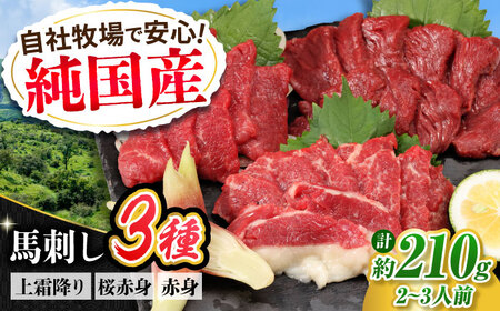 『純国産』熊本の味 馬刺し お試し3種セット 計約210g 馬刺し[AYCN002]