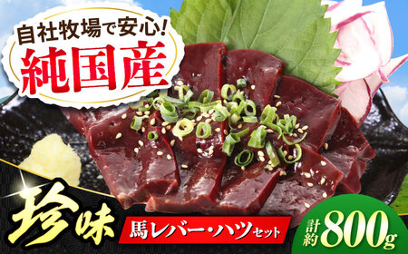 『純国産』熊本の味 馬 珍味 セット 計約800g（約200g×4セット）レバー ハツ 刺身   レバー [AYCN016]