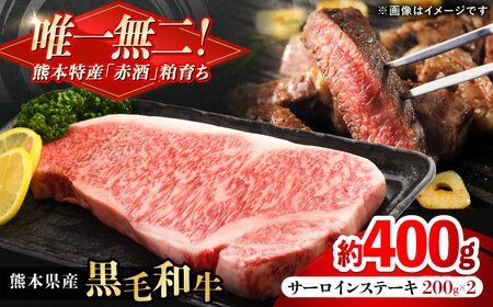 熊本県産 『原田畜産』 黒毛和牛 サーロイン ステーキ 計約400g（約200g×2枚）サーロインステーキ [AYCN049]
